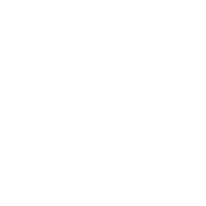 2017